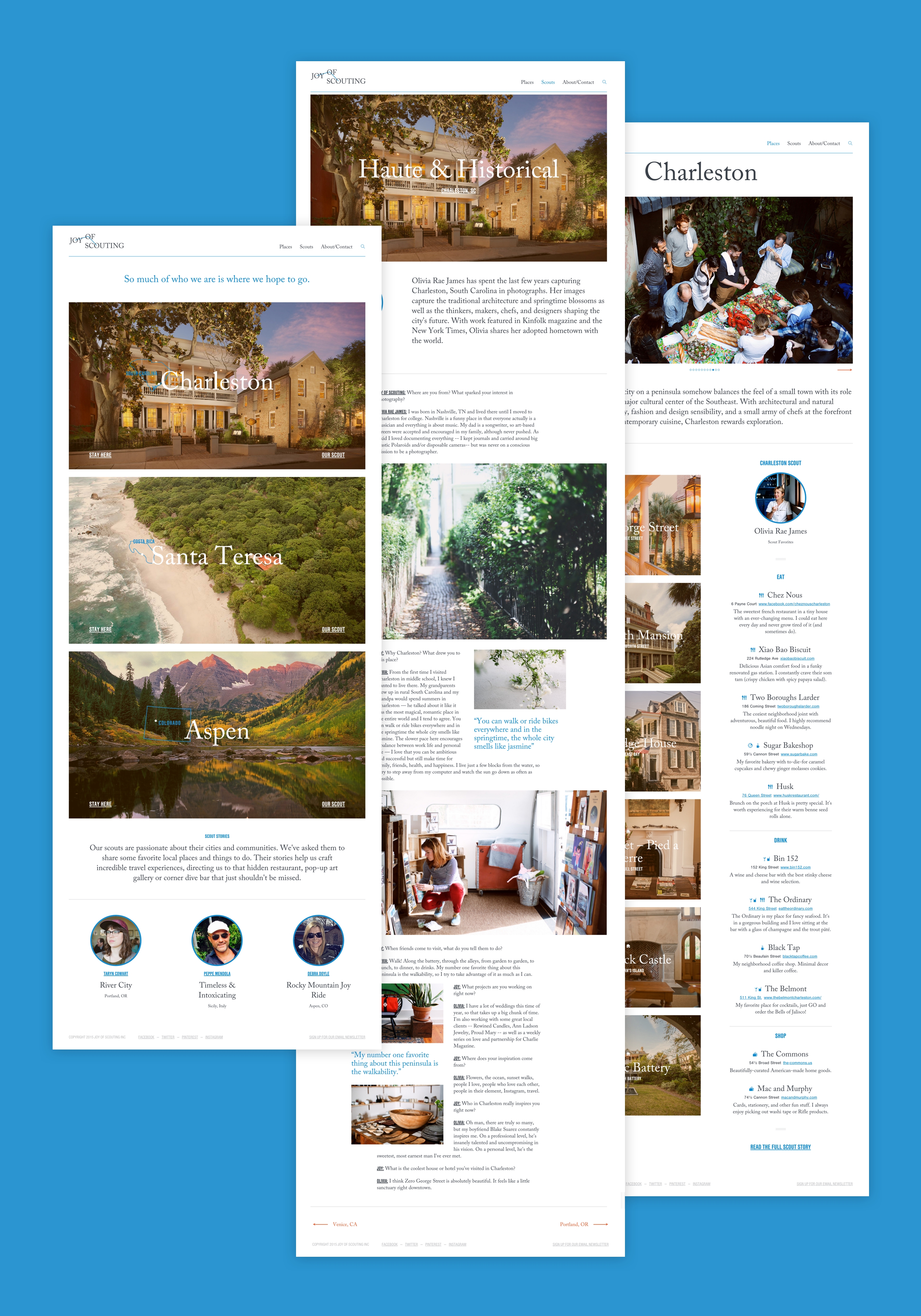 Joy of Scouting desktop website