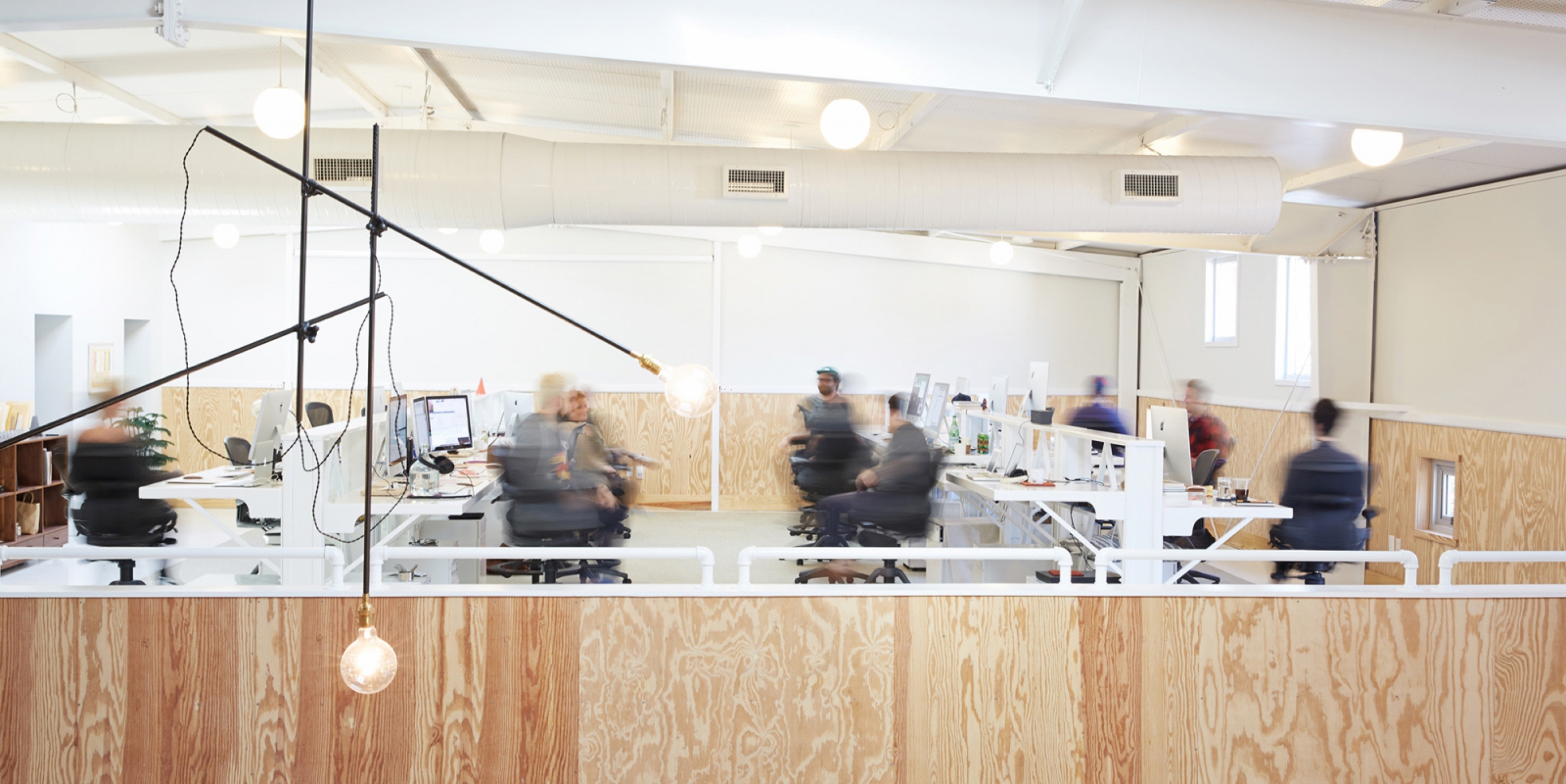 The Fuzzco office