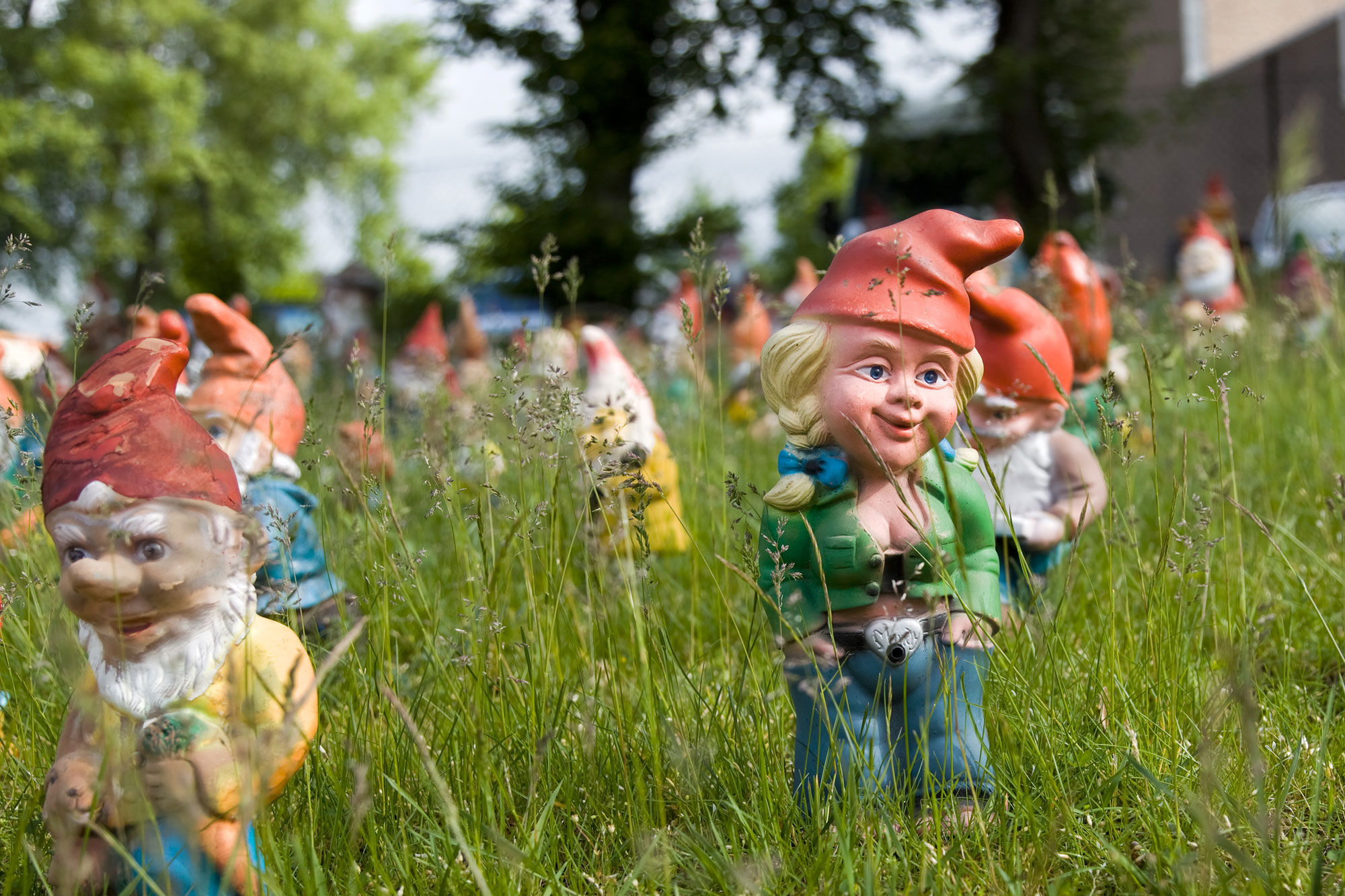 Lots of gnomes, somewhere in Wisconsin.